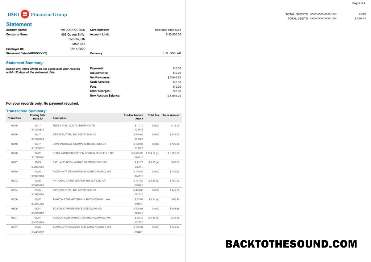 Yüksek Kalite İndir ABD BMO Banka Hesap Özeti, Word and PDF Şablon, 4 pages Örnek