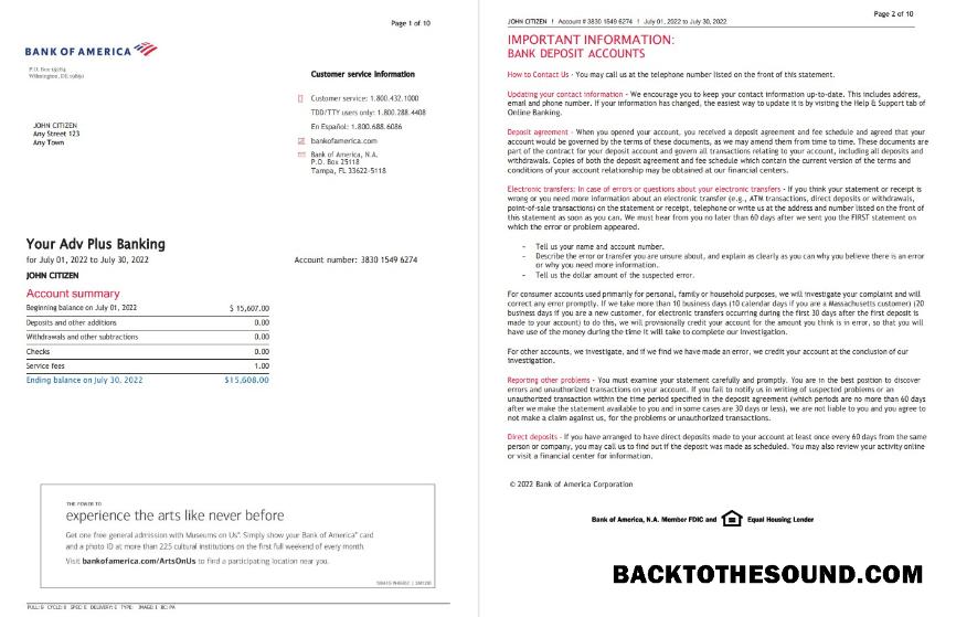 İndir ABD Banka of Amerika Banka Hesap Özeti Word and PDF (10 pages), Sürüm 5 Örnek örnek