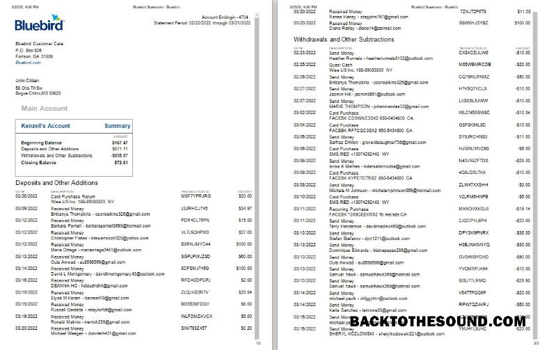 Gerçekçi İndir ABD Bluebird Banka Hesap Özeti Word and PDF Şablon, 3 pages, Sürüm 2 Örnek