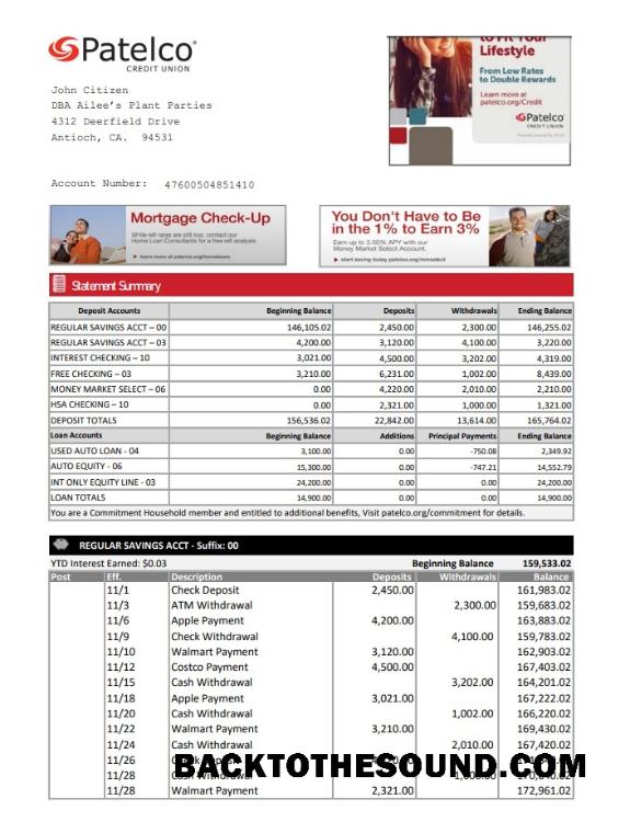 İndir ABD California Patelco Kredi birlik Banka Hesap Özeti in Excel and PDF Format Örnek şablon