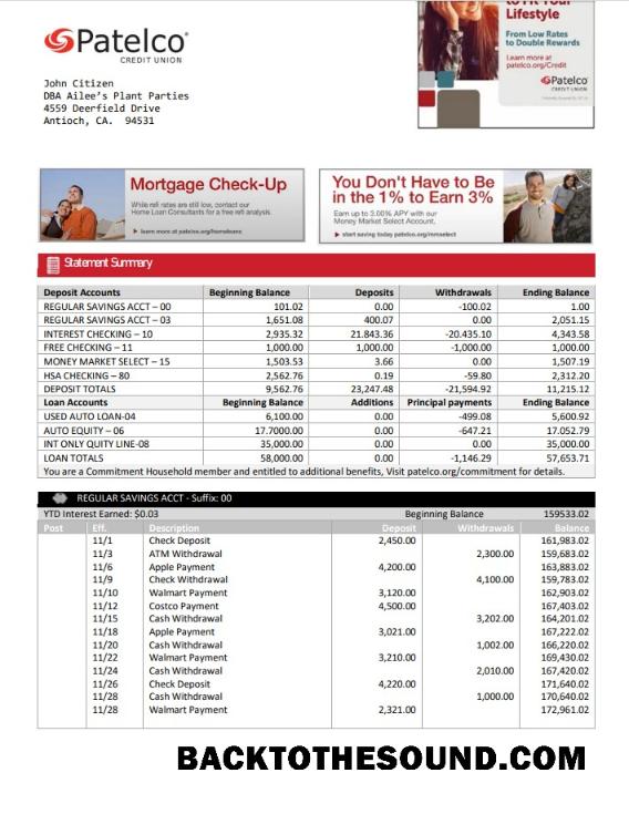 İndir ABD California Patelco Kredi birlik Banka Hesap Özeti in Word and PDF Format Örnek taslak