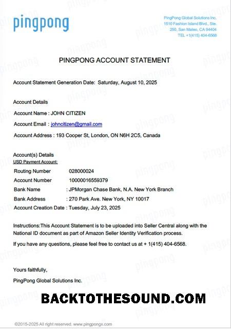 İndir ABD California PingPong Global Solutions Inc Hesap Hesap Özeti Word and PDF Örnek tasarım