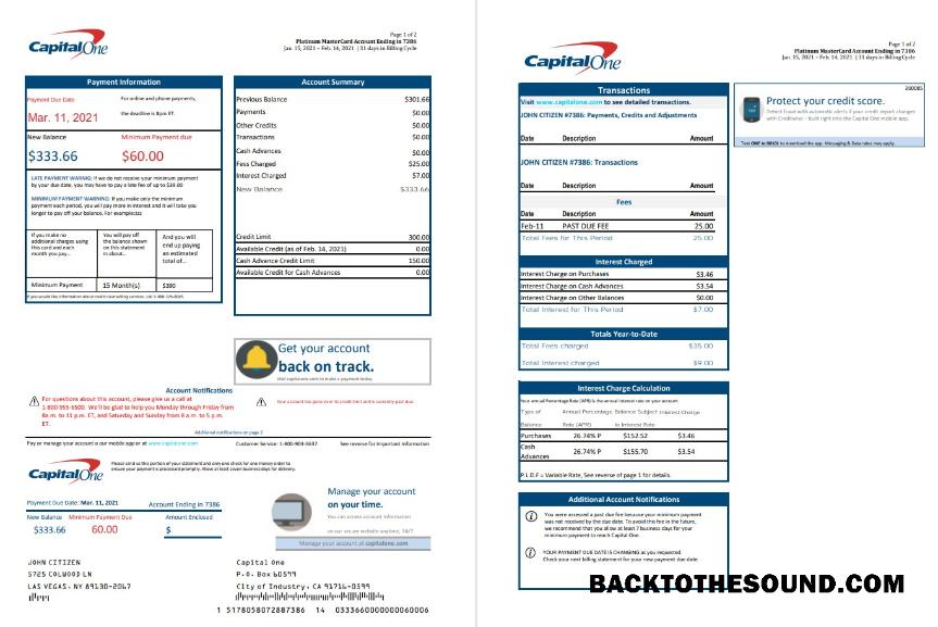 İndir ABD Capital One Banka Hesap Özeti in Excel and PDF Format (2 pages) Sürüm 3 Örnek tasarım