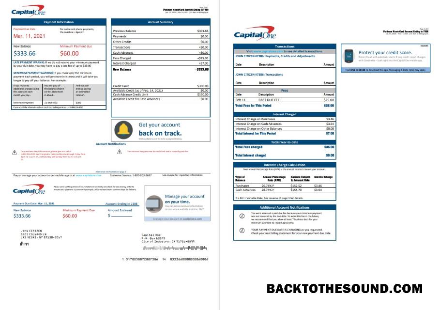 İndir ABD Capital One Banka Hesap Özeti in Word and PDF Format (2 pages) Sürüm 3 Örnek taslak