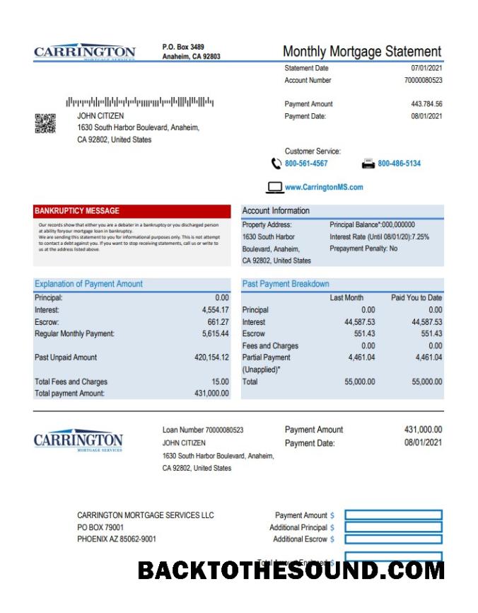 İndir ABD Carrington İpotek Services Excel PDF Örnek tasarım
