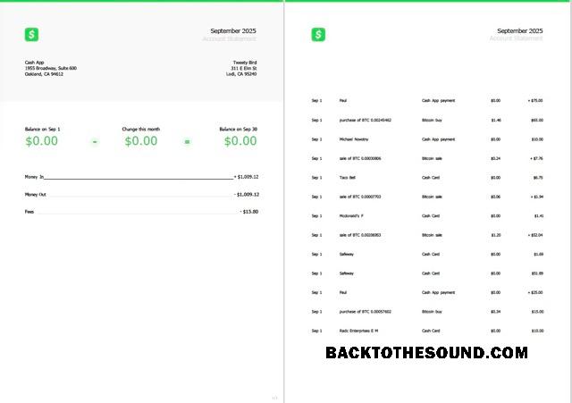 Profesyonel İndir ABD Cash App Hesap Hesap Özeti Word and PDF Şablon, 2 pages Örnek
