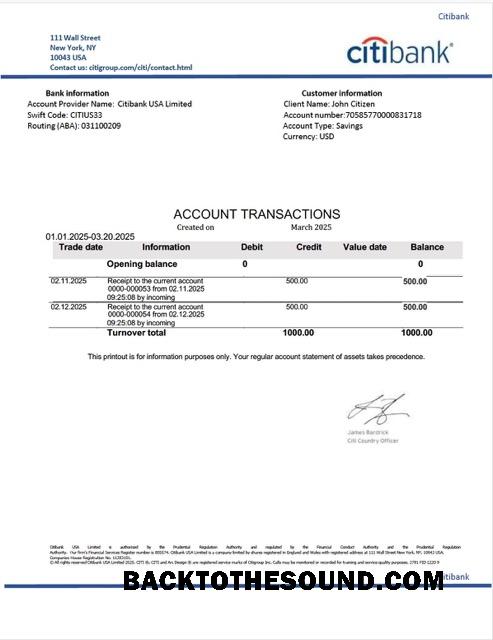 İndir ABD Citibank Hesap Hesap Özeti Word and PDF Örnek tasarım