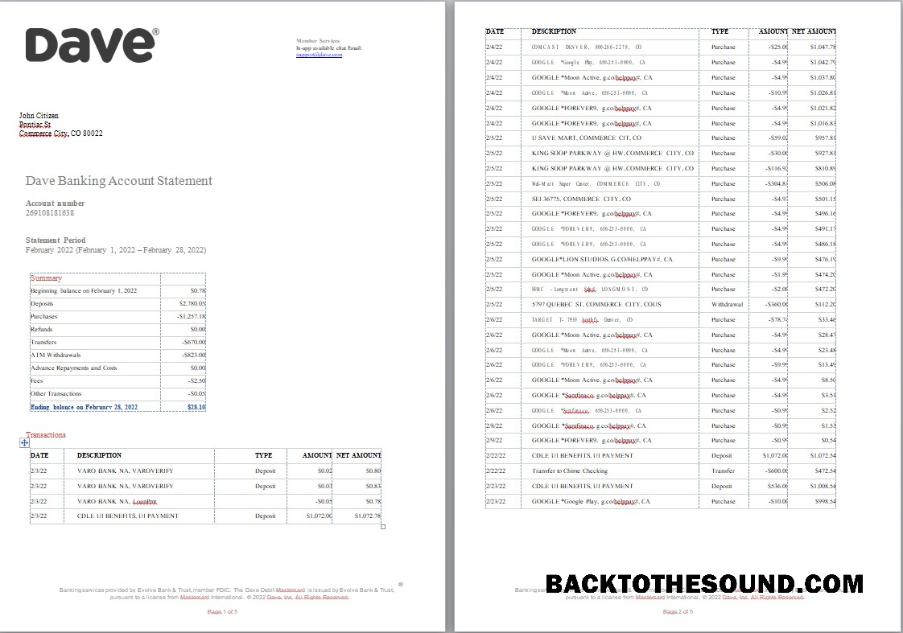 Premium İndir ABD Dave Banka Hesap Hesap Özeti, Word and PDF Şablon, 5 pages Örnek