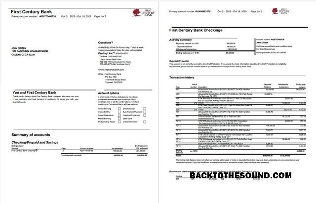 Premium İndir ABD First Century Banka Hesap Hesap Özeti Word and PDF Şablon, 2 pages Örnek