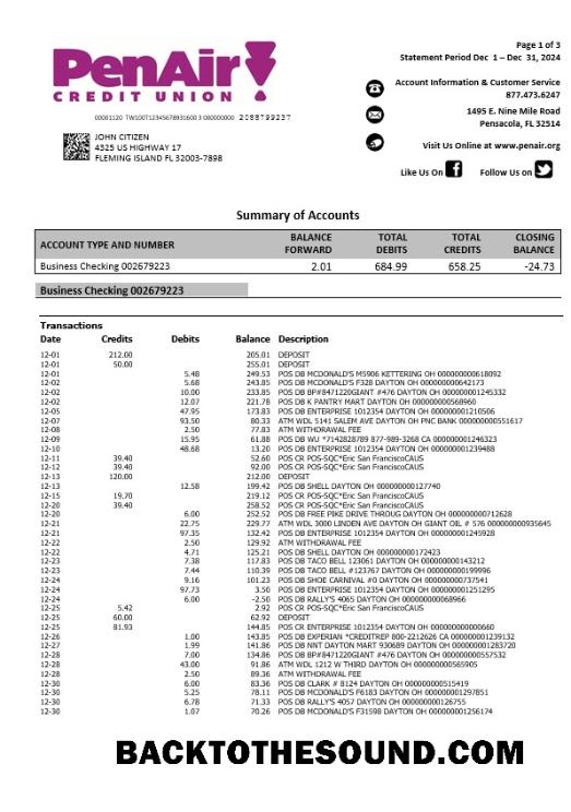 İndir ABD Florida PenAir Kredi birlik Banka Hesap Özeti, 3 pages Örnek şablon