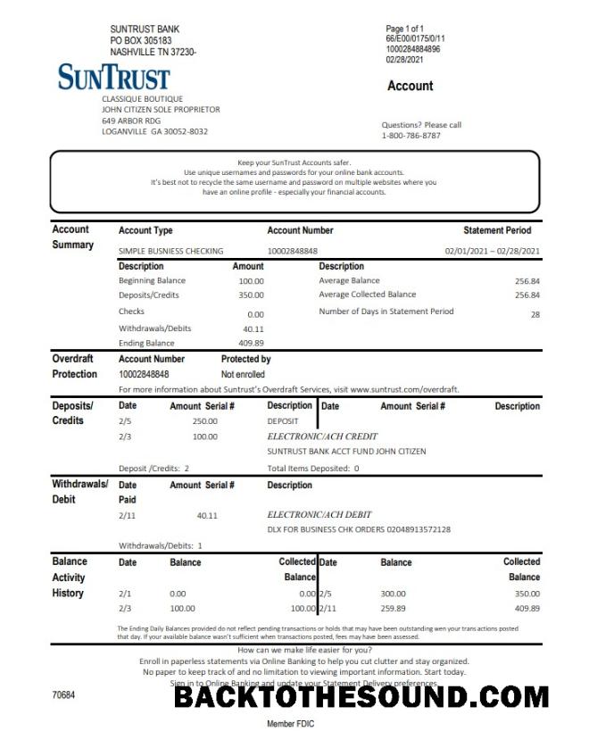 İndir ABD Gürcistan SunTrust Banka Hesap Özeti in Excel and PDF Format Örnek tasarım