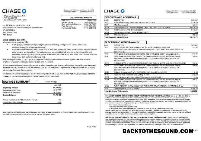 İndir ABD JP Morgan Chase Banka Hesap Özeti in .XLS and .PDF Dosya Format, 2 pages Örnek şablon
