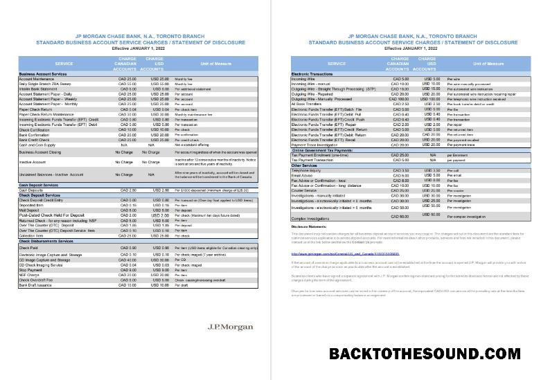 İndir ABD JP Morgan Banka Hesap Özeti 2 pages Sürüm 2 Örnek örnek