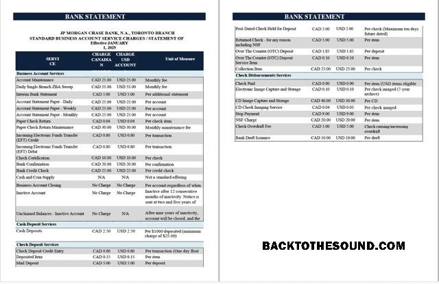 Gerçekçi İndir ABD JPMorgan Chase Banka Hesap Özeti Word and PDF Şablon, 2 pages Örnek