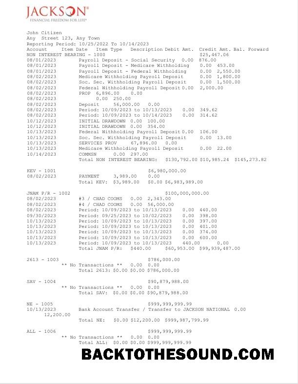 Düzenlenebilir İndir ABD Jackson ulusal Banka Hesap Özeti Word and PDF Şablon, 2 pages Örnek