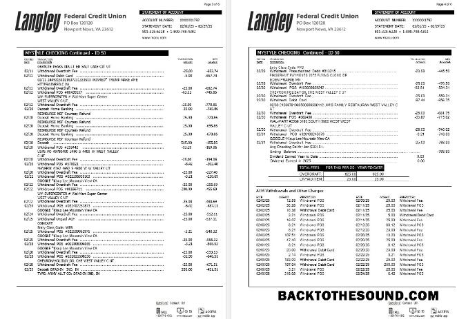 İndir ABD Langley Federal Kredi birlik Banka Hesap Özeti, 6 pages 2 Örnek taslak