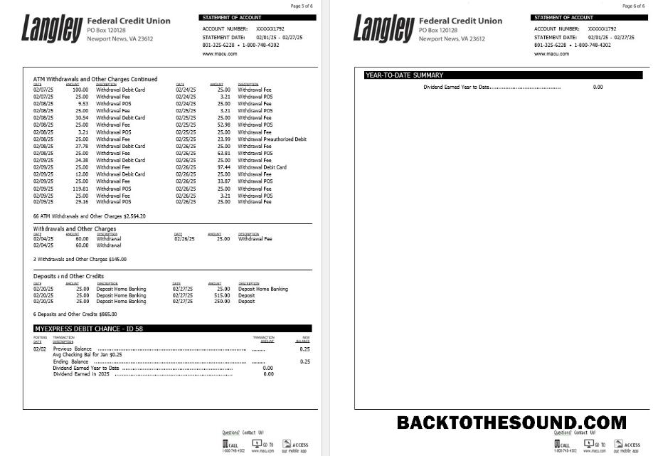 İndir ABD Langley Federal Kredi birlik Banka Hesap Özeti, 6 pages 3 Örnek ön izleme