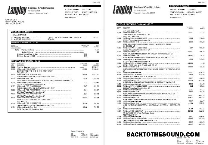 İndir ABD Langley Federal Kredi birlik Banka Hesap Özeti, 6 pages Örnek örnek