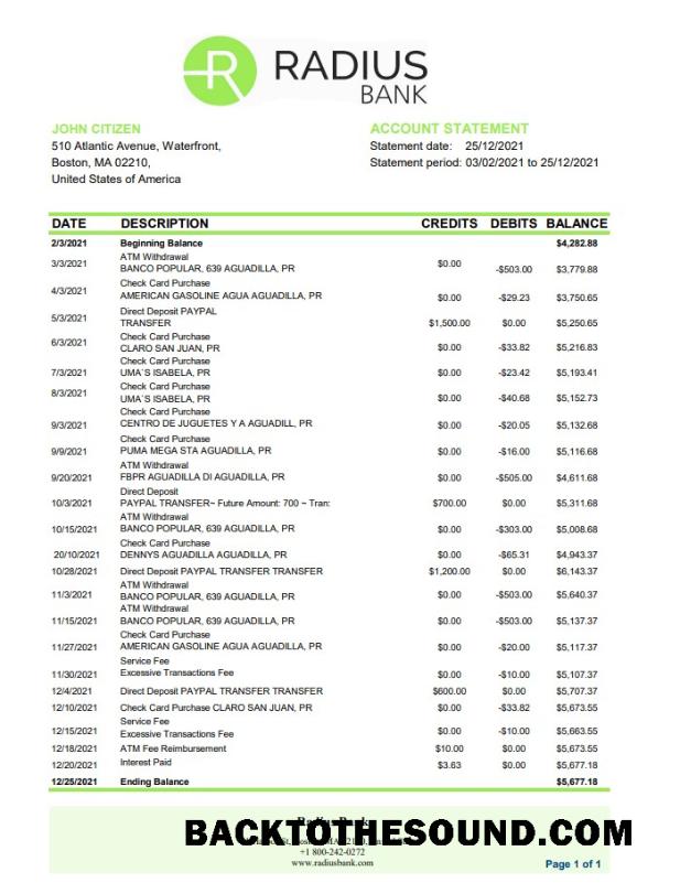 İndir ABD Massachusetts Radius Banka Excel PDF Örnek örnek