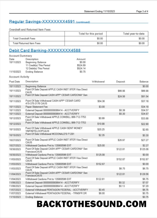 Düzenlenebilir İndir ABD MidFlorida Banka Hesap Özeti Word and PDF Şablon, 3 pages 3 Örnek