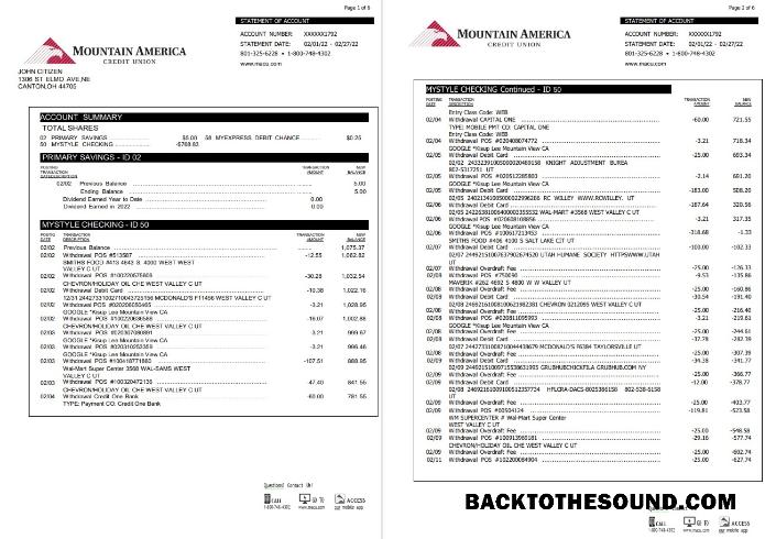 İndir ABD Mountain Amerika Kredi birlik Hesap Özeti 6 pages Örnek taslak