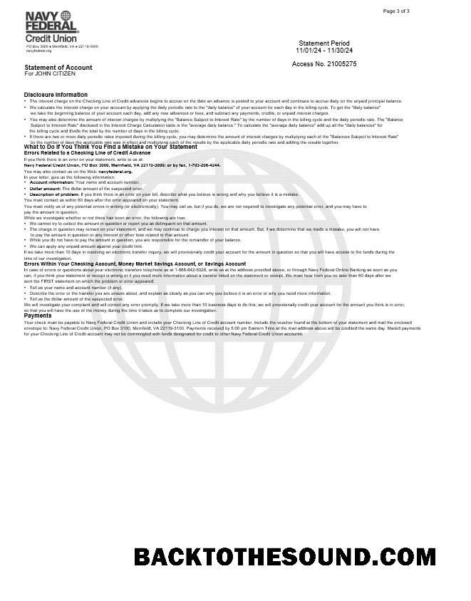 İndir ABD Navy Federal Banka Hesap Özeti, 3 pages 2 Örnek taslak