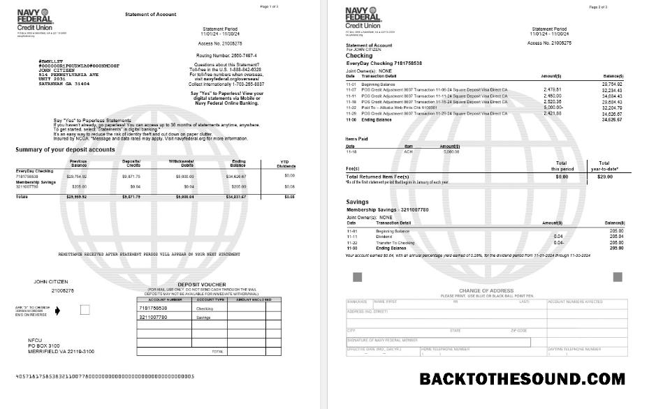 İndir ABD Navy Federal Banka Hesap Özeti, 3 pages Örnek şablon