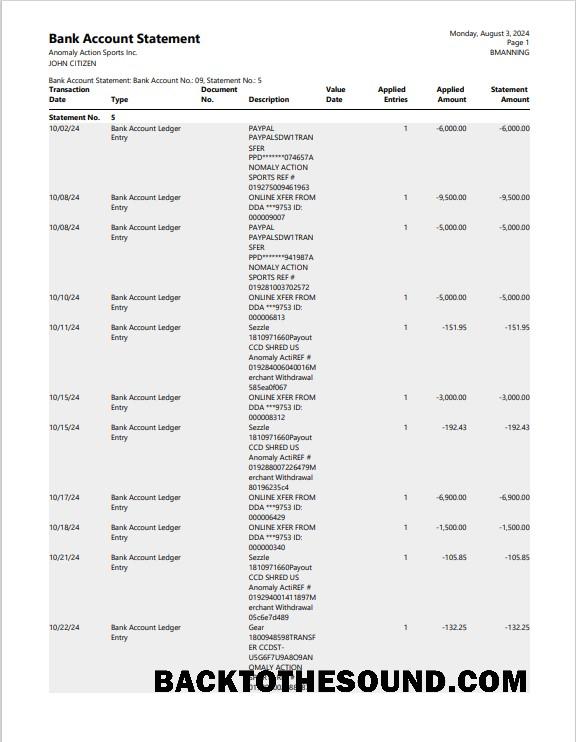 İndir ABD Yeni York Banka Hesap Özeti 3 – 6 months Word and PDF Örnek Örnek şablon
