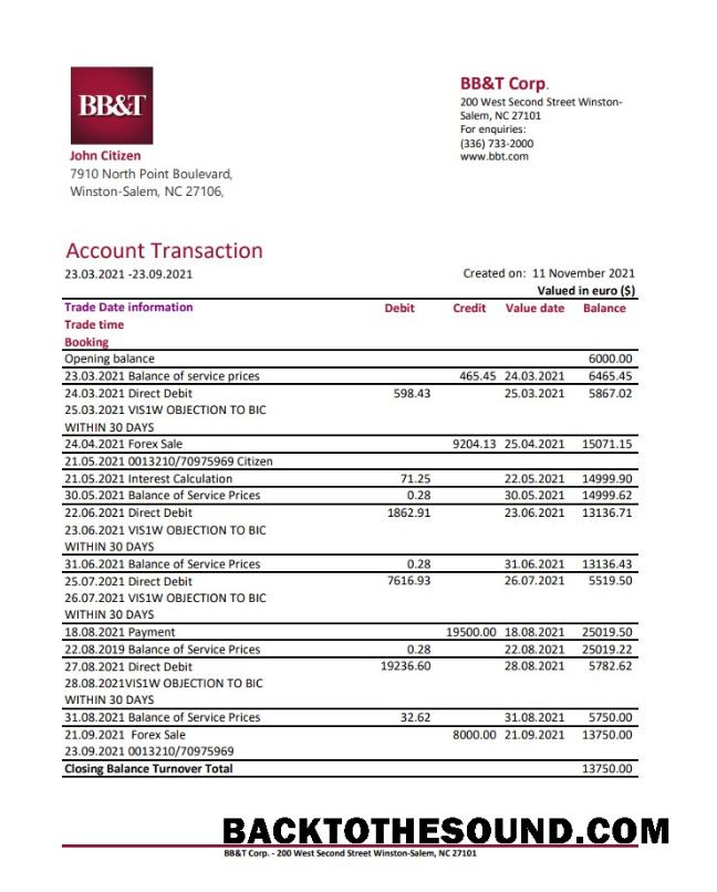 İndir ABD North Carolina BB&T Corp. Banka Hesap Özeti in Excel and PDF Format Örnek örnek