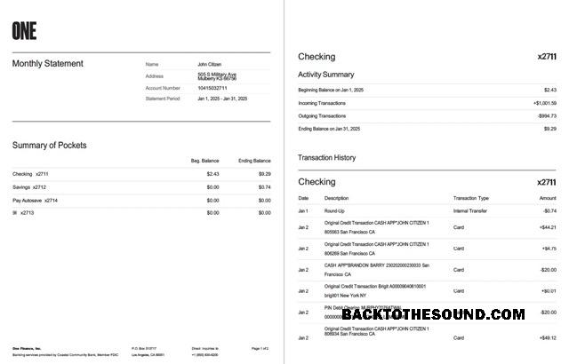 Yüksek Kalite İndir ABD One Finans, Inc. Banka Hesap Özeti Word and PDF Şablon, 2 pages Örnek