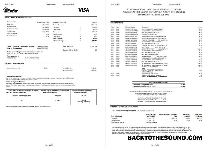 İndir ABD Pentagon Federal Kredi birlik (PenFed) Banka Hesap Özeti 3 pages Örnek şablon