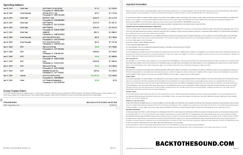 İndir ABD Sofi Banka Hesap Özeti, 4 pages 2 Örnek şablon