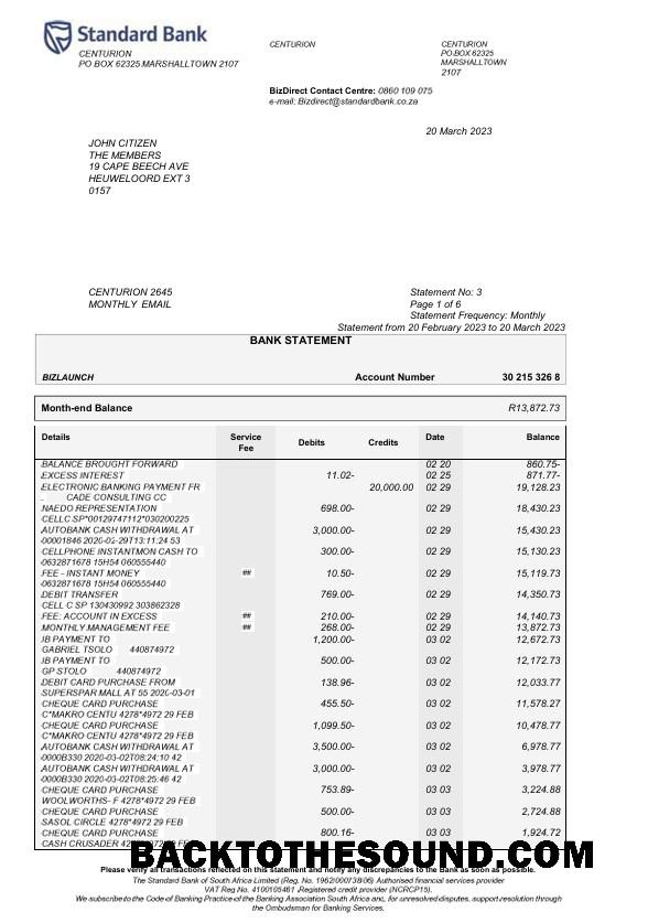Profesyonel İndir ABD standart Banka Hesap Özeti Word and PDF Şablon, 6 pages Örnek
