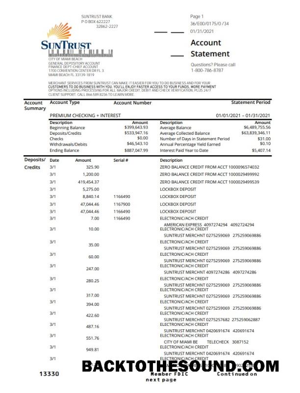 İndir ABD SunTrust Banka proof of address Hesap Özeti in .XLS and .PDF Format Örnek şablon