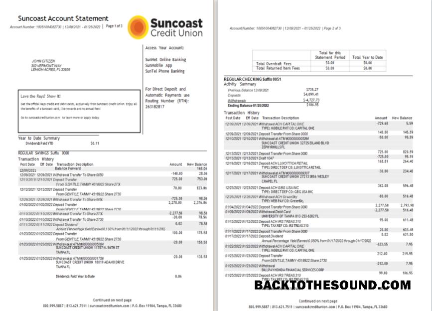 İndir ABD Suncoast Banka Hesap Özeti Word and PDF 1 2 Örnek ön izleme