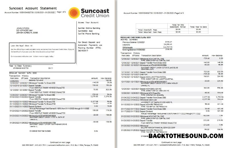 Profesyonel İndir ABD Suncoast Banka Hesap Özeti Word and PDF Şablon, 3 pages Örnek