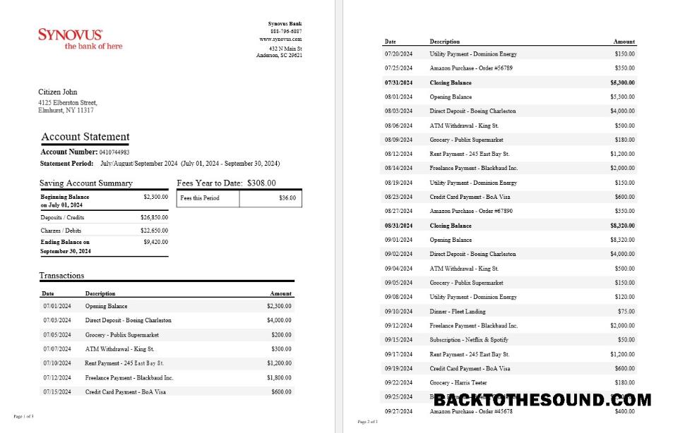Düzenlenebilir İndir ABD Synovus Banka Hesap Özeti Word and PDF Şablon, 3 pages Örnek
