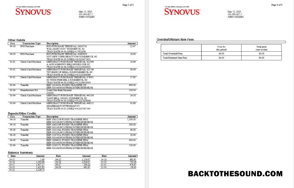 Düzenlenebilir İndir ABD Synovus Banka Hesap Özeti Word and PDF Şablon, 4 pages 2 Örnek