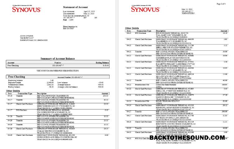Gerçekçi İndir ABD Synovus Banka Hesap Özeti Word and PDF Şablon, 4 pages Örnek