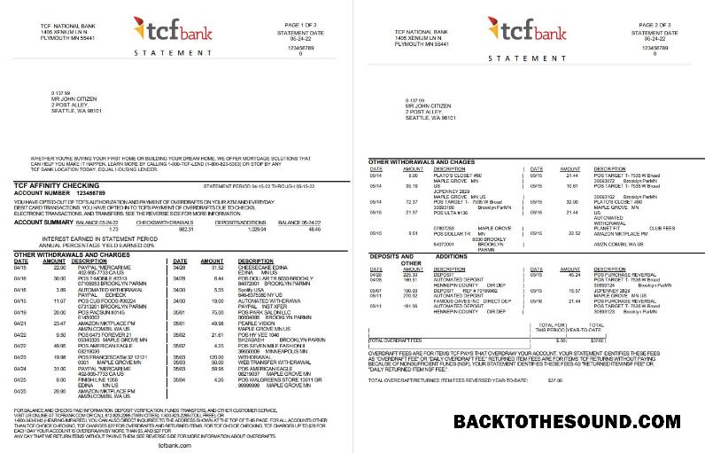 Profesyonel İndir ABD TCF Banka Hesap Özeti, Word and PDF Şablon, 3 pages Örnek