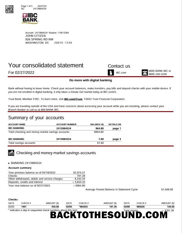Yüksek Kalite İndir ABD Texas IBC Banka Hesap Özeti Word and PDF Şablon, 5 pages Örnek
