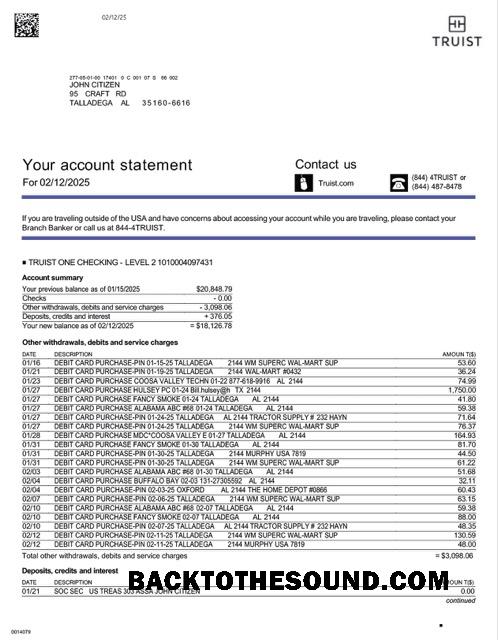 İndir ABD Truist Banka Hesap Hesap Özeti Word and PDF Örnek ön izleme