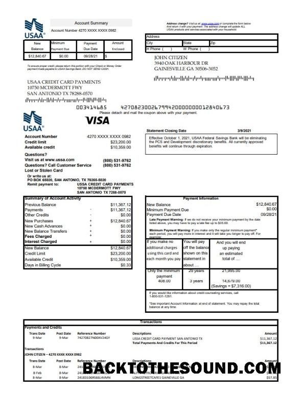 İndir ABD USAA Banka Kredi Kart Excel PDF Örnek şablon