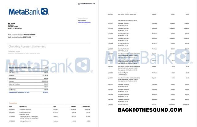 Düzenlenebilir İndir ABD Washington Metabank Hesap Hesap Özeti Word and PDF Şablon, 2 pages Örnek