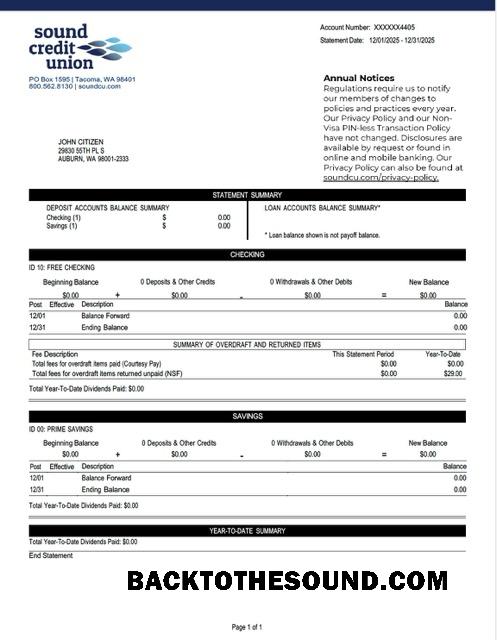 İndir ABD Washington Ses Kredi birlik Hesap Hesap Özeti Word and PDF Örnek örnek
