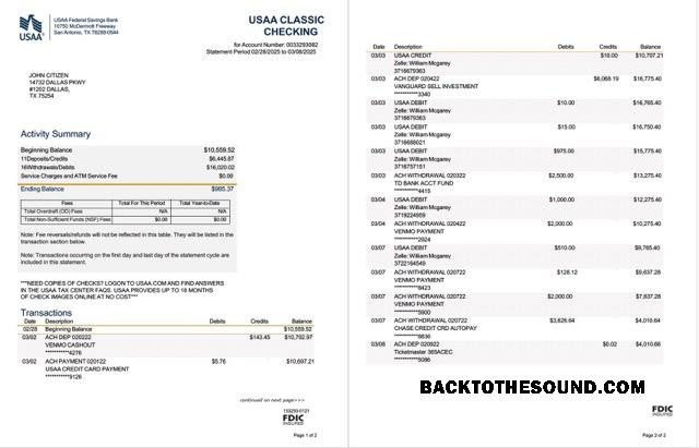 Gerçekçi İndir USAA Federal Savings Banka Hesap Özeti Word and PDF Şablon, 2 pages Örnek