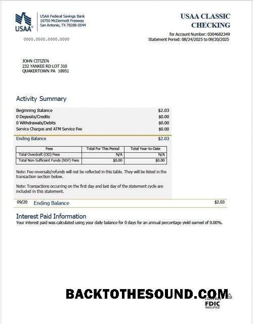 Yüksek Kalite İndir USAA Federal Savings Banka Hesap Özeti Word and PDF Şablon, Sürüm 2 Örnek