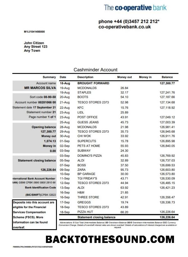 İndir Birleşik Krallık The Co operative Banka Hesap Özeti in Excel and PDF Format Örnek ön izleme
