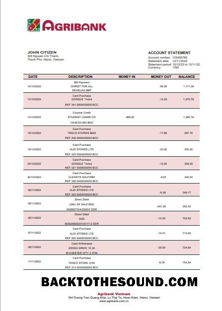 İndir Vietnam Agribank Banka Hesap Özeti in Word and PDF Format Örnek örnek
