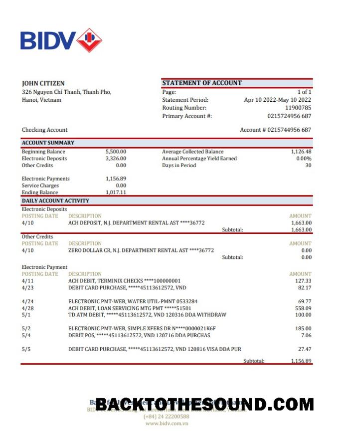 İndir Vietnam BIDV Banka Hesap Özeti Örnek tasarım